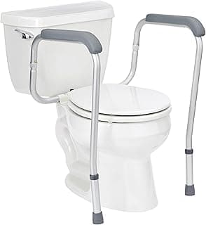 Picture of Toilet Safety Rails