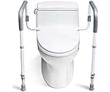 Picture of Toilet Safety Rails